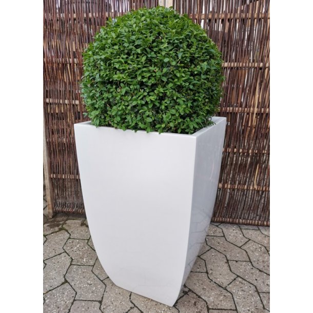 Firkantet blank hvid Polystone Krukke*