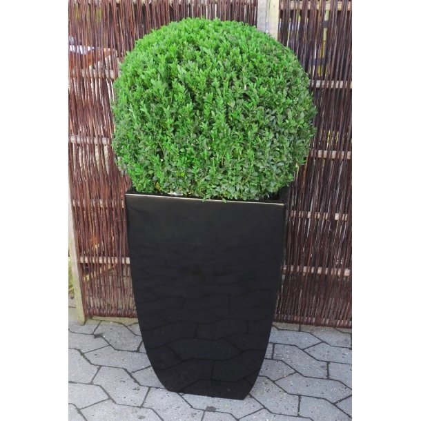 Firkantet blank sort  Polystone Krukke*