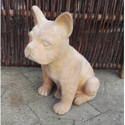 Fransk bulldog, chokoterracotta (*)