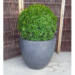 Grafit Maxi-Egg krukke*