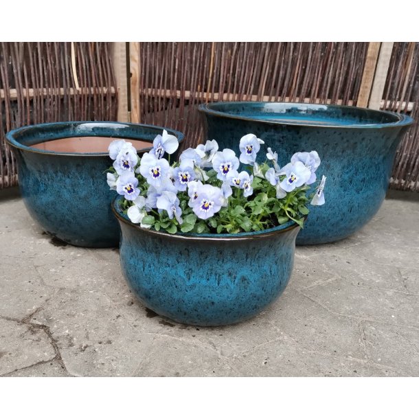 Graham Lav krukke, Bl *