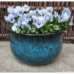 Graham Lav krukke, Bl *