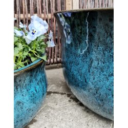 Graham Lav krukke, Bl *