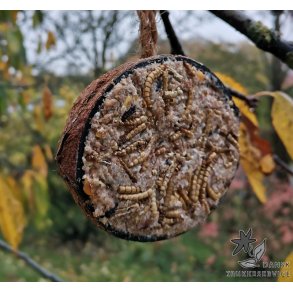 Halv kokosnd m. fedt og Melorme. 