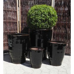 Harriet krukke, Blank sort *