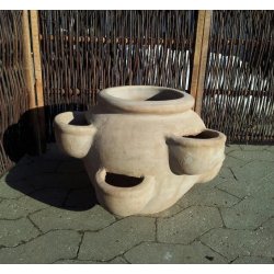 Jordbrkrukke, choko(*)