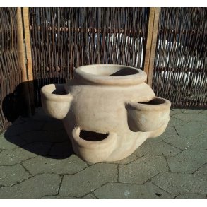 Jordbrkrukke, choko(*)