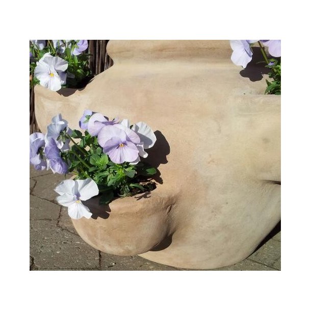 Jordbrkrukke, choko(*)