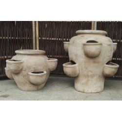 Jordbrkrukke, choko(*)