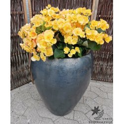 Josephine, matsort keramik*