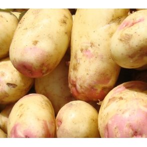 King Edward Lggekartofler 1,5 kg