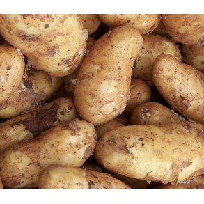 Linzer Lggekartofler 1,5 kg