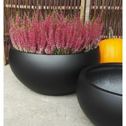 Lotus Bowle, sort polystone*