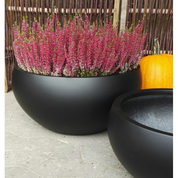 Lotus Bowle, sort polystone*