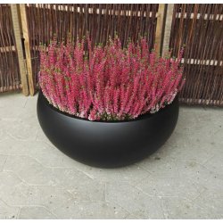 Lotus Bowle, sort polystone*