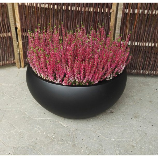 Lotus Bowle, sort polystone*