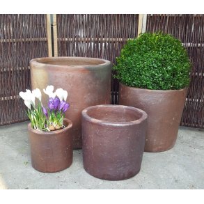 Maurine krukke, Brun*