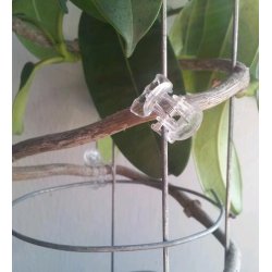 Opbindings Clips, transparent