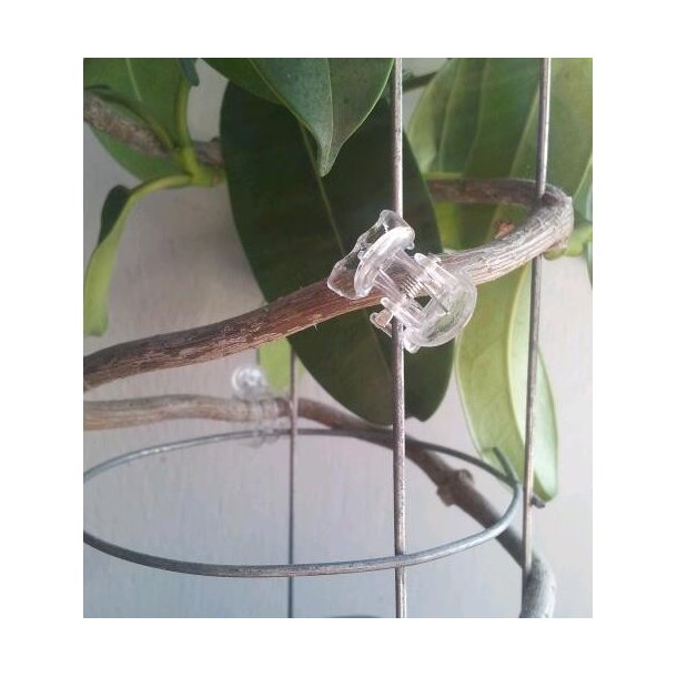 Opbindings Clips, transparent