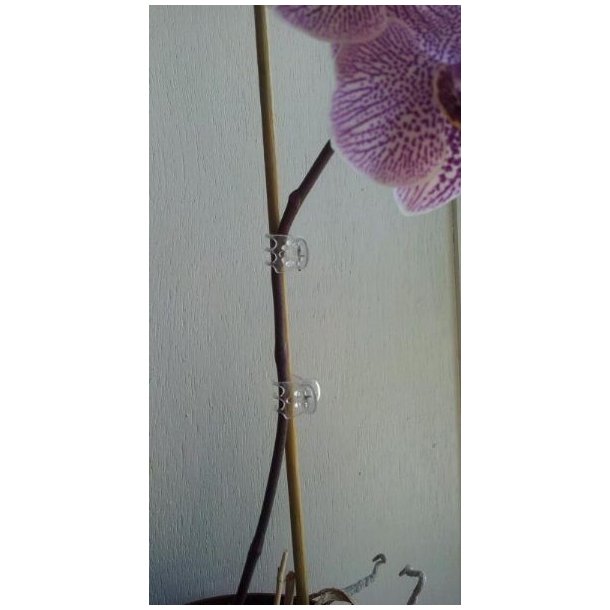 Opbindings Clips, transparent