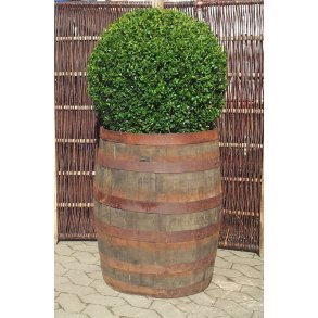 Original  ben Whiskytnde