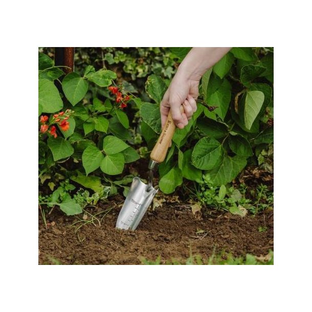 Planteske, udplantning