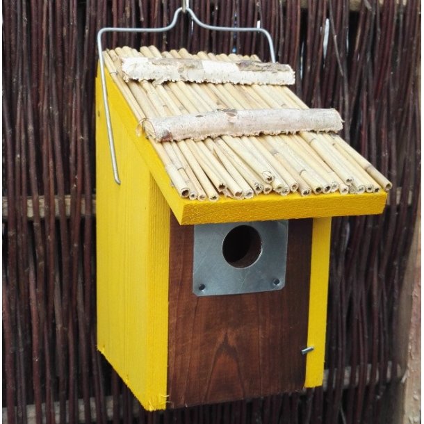 Redekasse Gulspurven