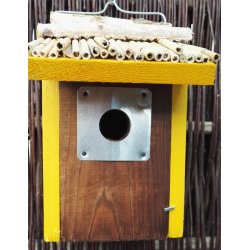 Redekasse Gulspurven