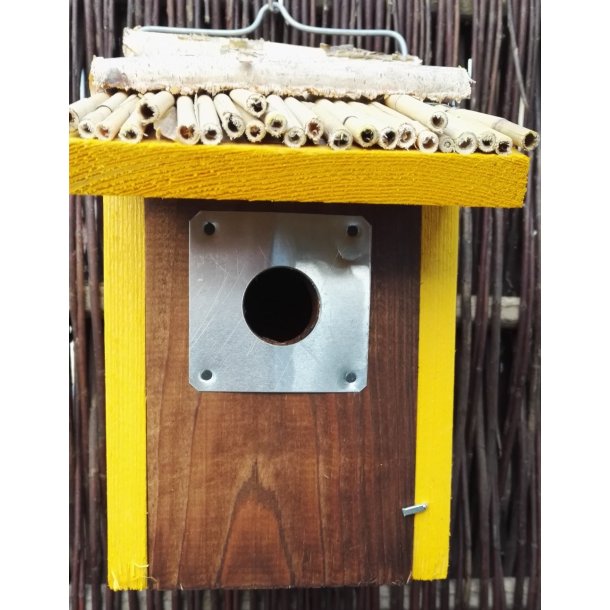 Redekasse Gulspurven