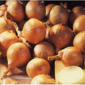 Sttelg Golden Gourmet, skalotte