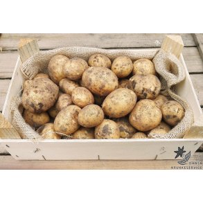 Solist Lggekartofler, ko  1,5 kg