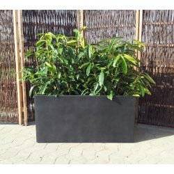 Sorte polystone kummer*