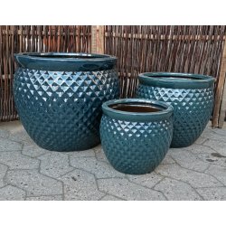 Tanja krukke, HavBl *