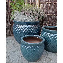 Tanja krukke, HavBl *