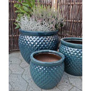 Tanja krukke, HavBl *