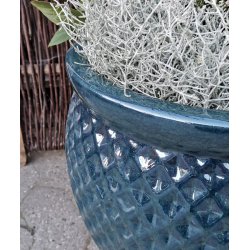 Tanja krukke, HavBl *