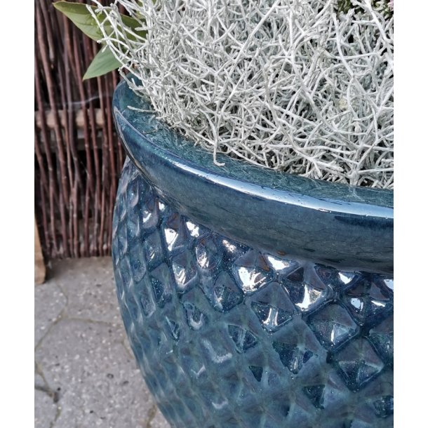 Tanja krukke, HavBl *