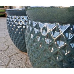 Tanja krukke, HavBl *