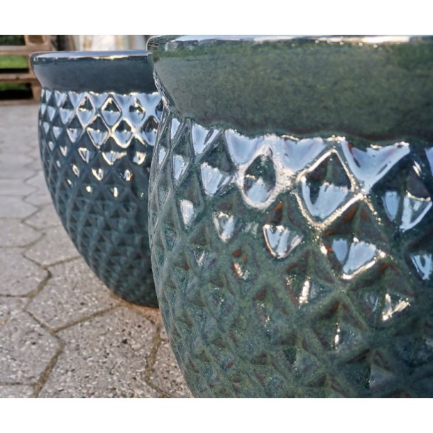 Tanja krukke, HavBl *