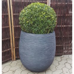 Winston, Black Wash polystone Krukke*