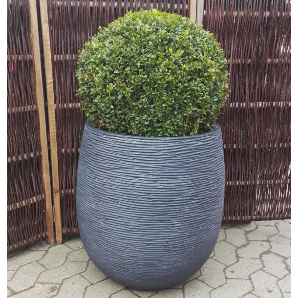 Winston, Black Wash polystone Krukke*